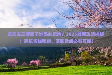 龙岩去三亚椰子洲岛必玩地