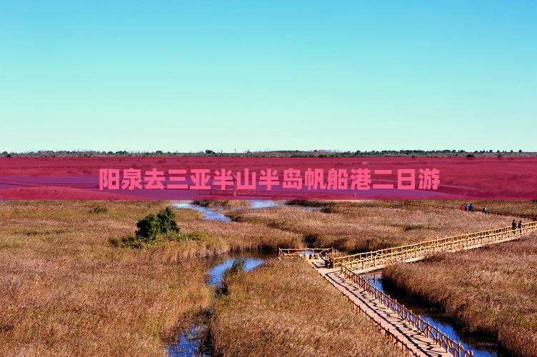 阳泉去三亚半山半岛帆船港二日游