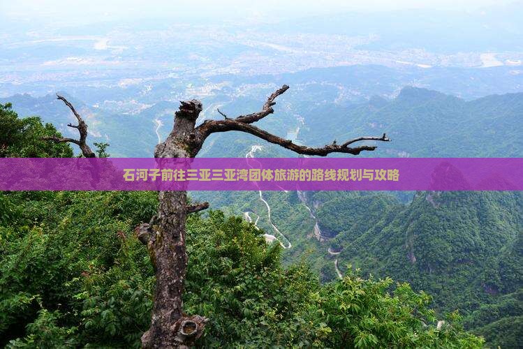 石河子前往三亚三亚湾团体旅游