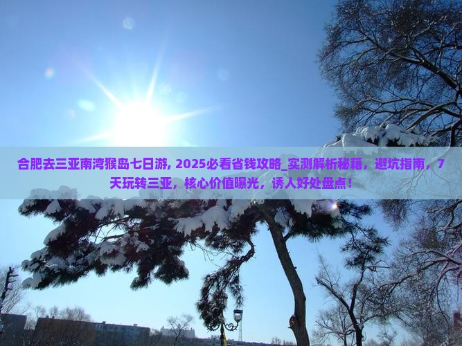 合肥去三亚南湾猴岛七日游