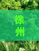 徐州前往三亚海棠湾五日游