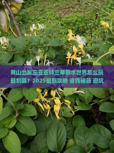 黄山出发三亚亚特兰蒂斯水世界哪里玩
