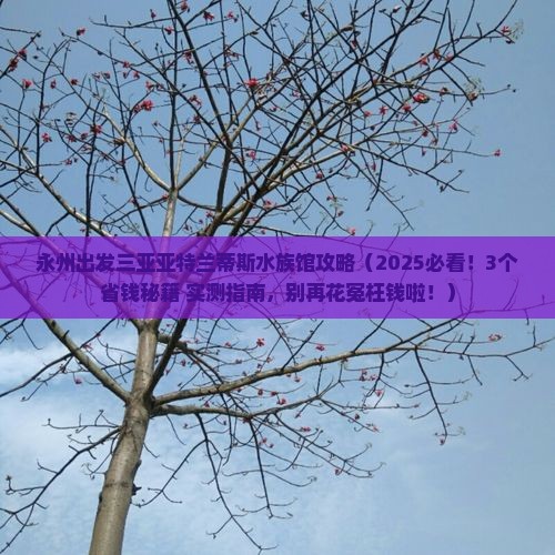 永州出发三亚亚特兰蒂斯水族馆攻略 永州出发三亚亚特兰蒂斯水族馆攻略