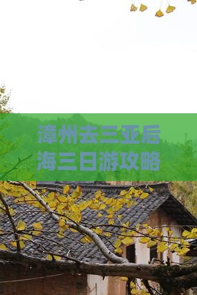 漳州去三亚后海三日游