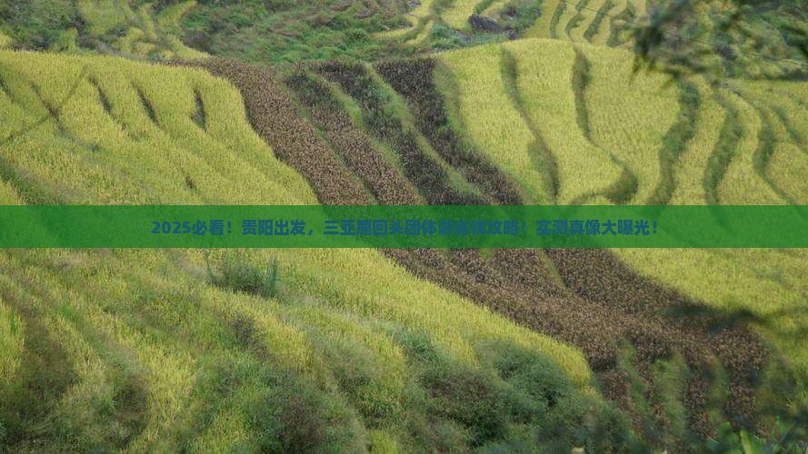贵阳去三亚鹿回头团体旅游