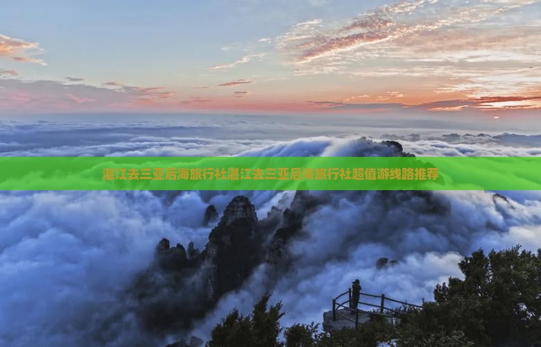 湛江去三亚后海旅行社