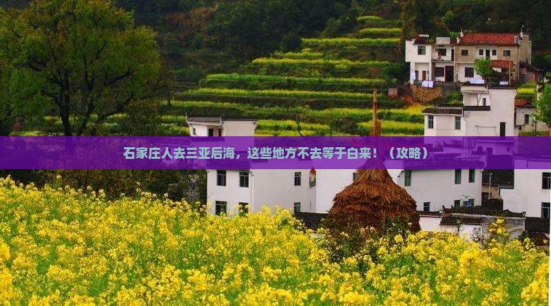 石家庄去三亚后海必玩地