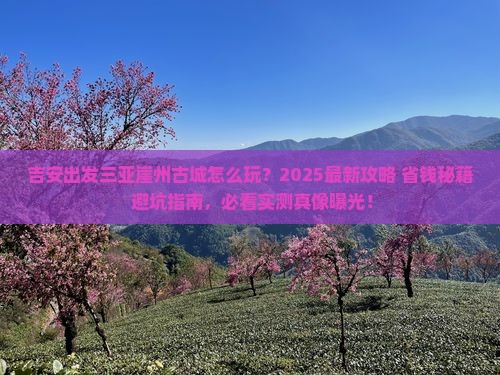 吉安出发三亚崖洲古城哪里玩