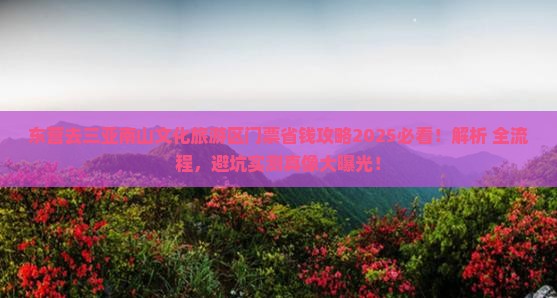 东营去三亚南山文化旅游区门票