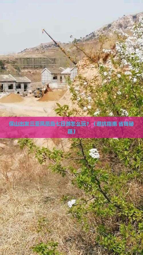 保山出发三亚凤凰岛七日游