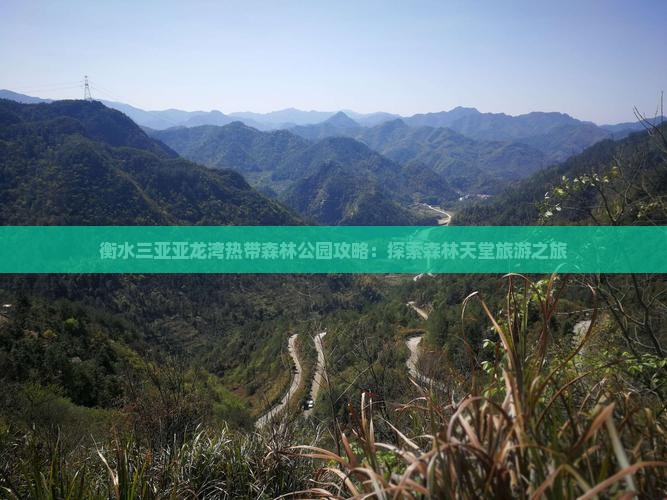 衡水前往三亚亚龙湾热带森林公园个人游