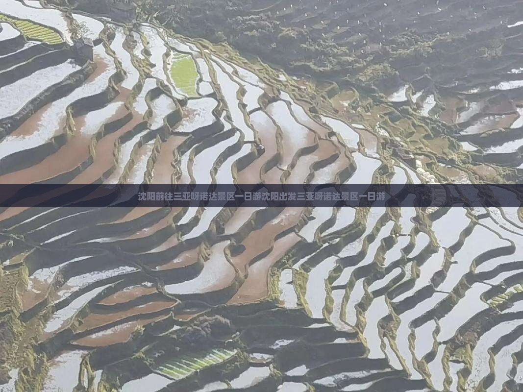 沈阳前往三亚呀诺达景区一日游