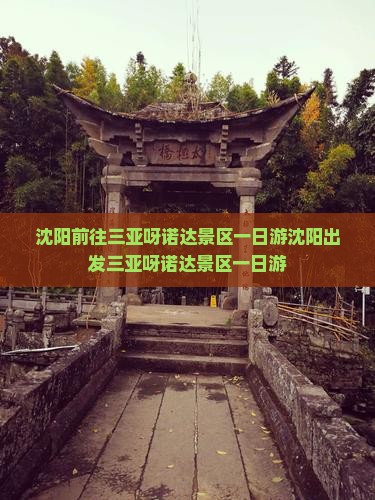 沈阳前往三亚呀诺达景区一日游
