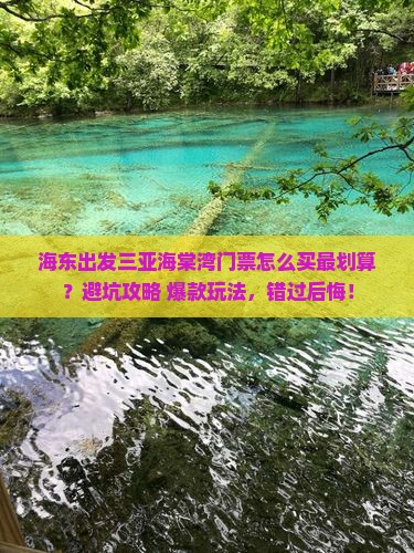海东出发三亚海棠湾门票