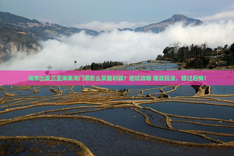 海东出发三亚海棠湾门票