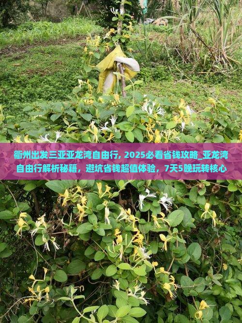 衢州出发三亚亚龙湾自由行
