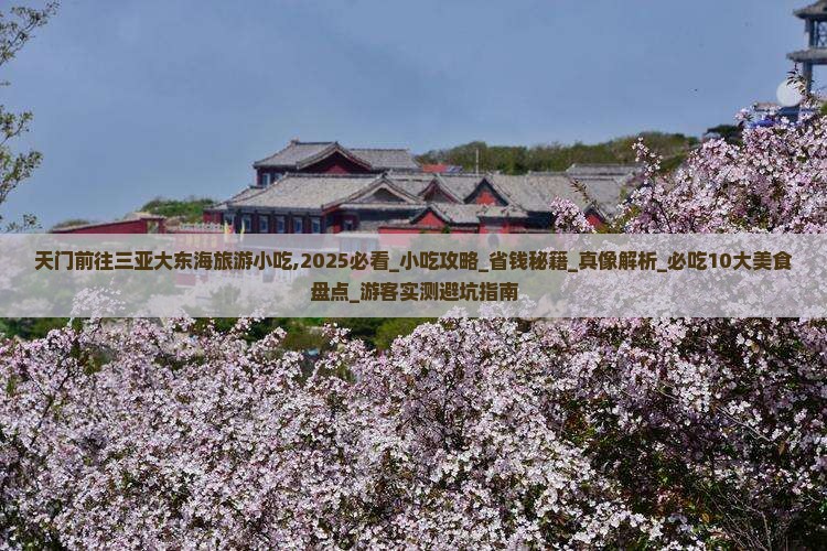 天门前往三亚大东海旅游小吃