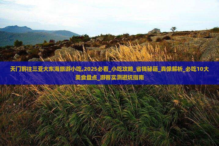 天门前往三亚大东海旅游小吃