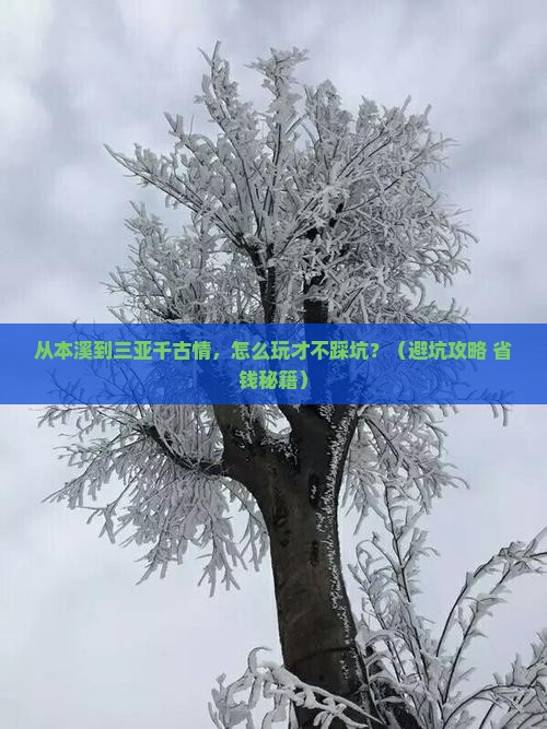 本溪前往三亚千古情旅游网红地点