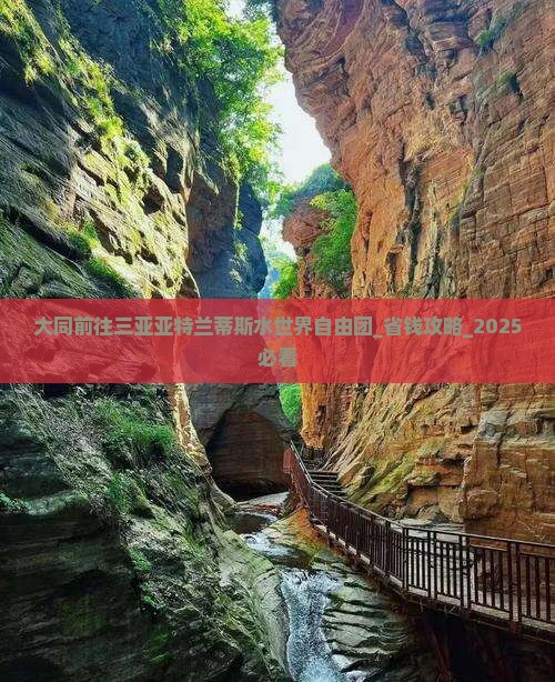 大同前往三亚亚特兰蒂斯水世界自由团