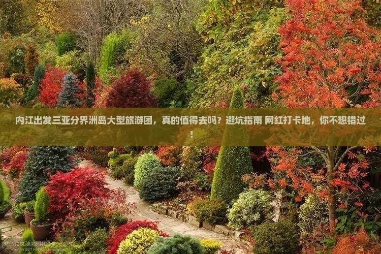 内江出发三亚分界洲岛大型旅游团