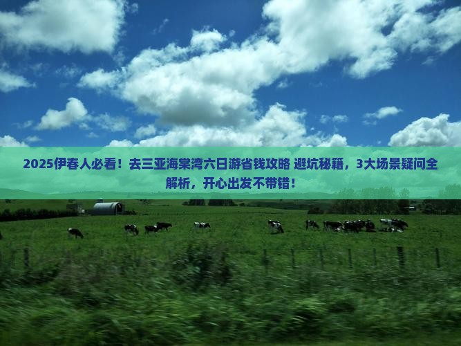 伊春去三亚海棠湾六日游