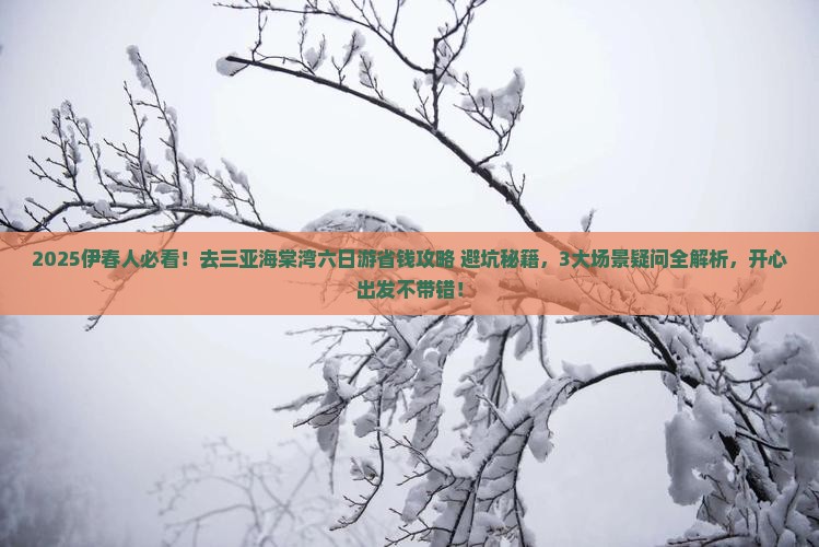伊春去三亚海棠湾六日游