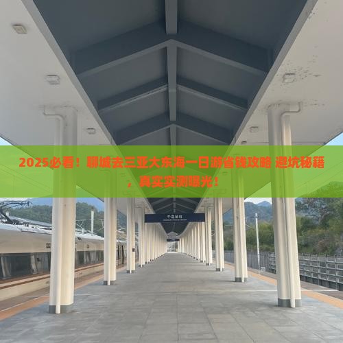 聊城去三亚大东海一日游