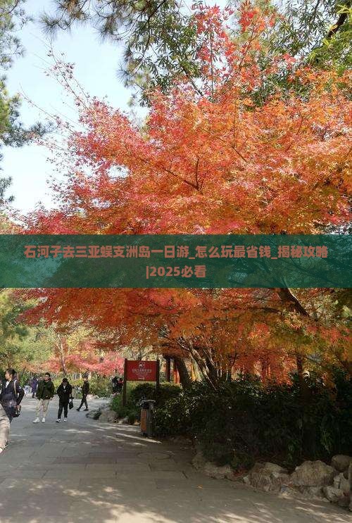 石河子去三亚蜈支洲岛一日游