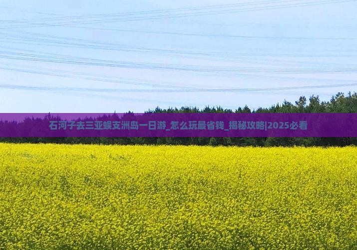 石河子去三亚蜈支洲岛一日游