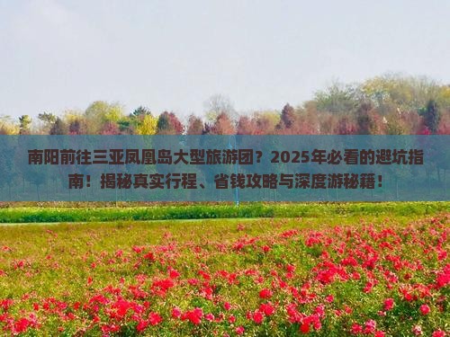南阳前往三亚凤凰岛大型旅游团