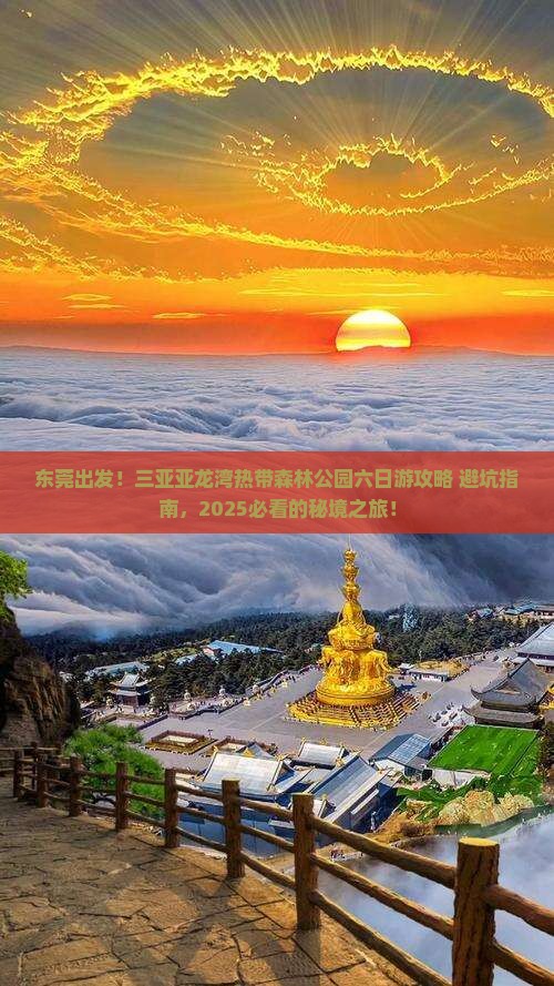 东莞去三亚亚龙湾热带森林公园六日游