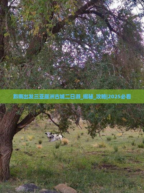 黔南出发三亚崖洲古城二日游
