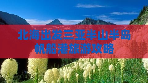 北海出发三亚半山半岛帆船港旅游网红地点
