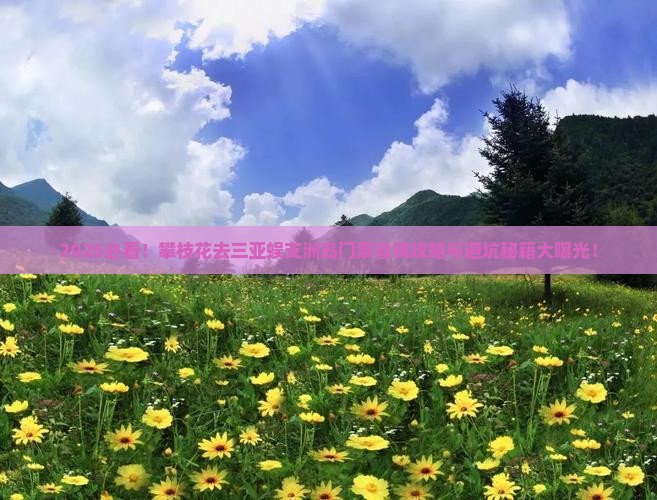 攀枝花去三亚蜈支洲岛门票