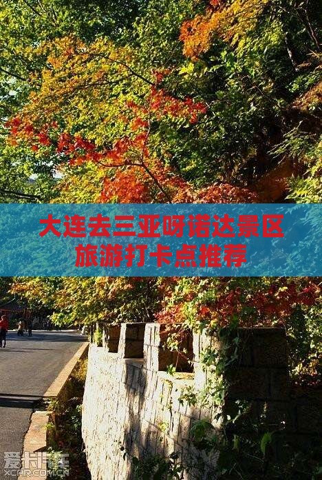 大连去三亚呀诺达景区旅游打卡点
