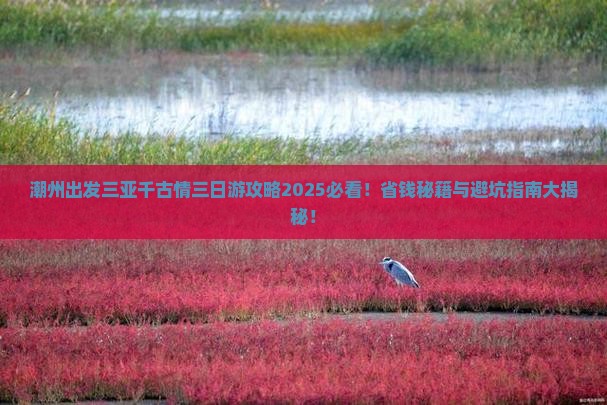 潮州出发三亚千古情三日游