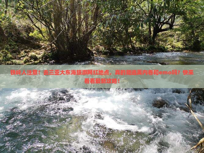 铁岭前往三亚大东海旅游网红地点