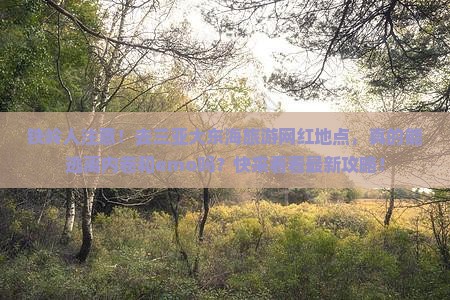 铁岭前往三亚大东海旅游网红地点