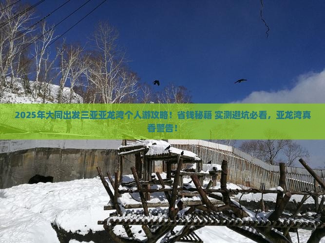 大同出发三亚亚龙湾个人游
