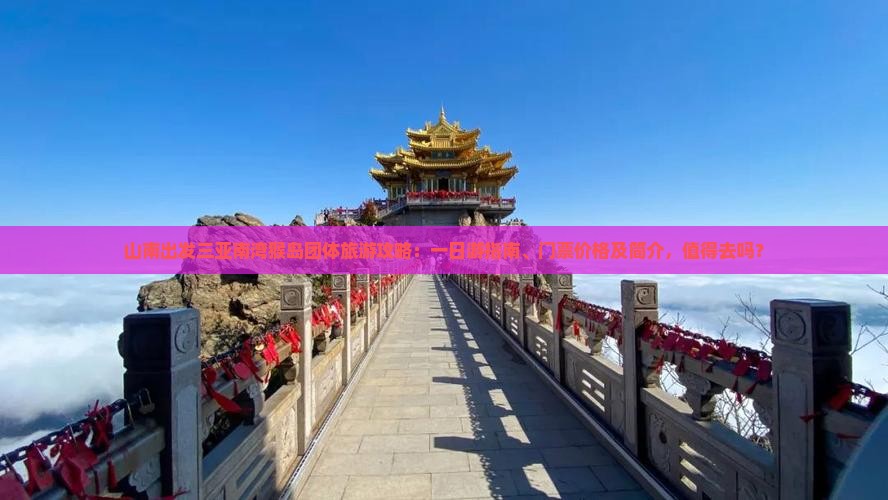 山南出发三亚南湾猴岛团体旅游