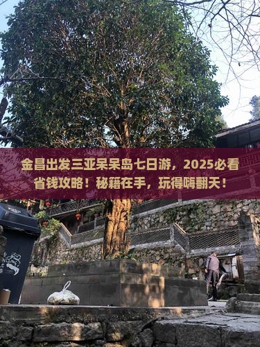 金昌出发三亚呆呆岛七日游