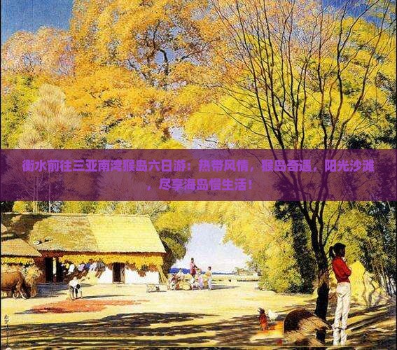 衡水前往三亚南湾猴岛六日游
