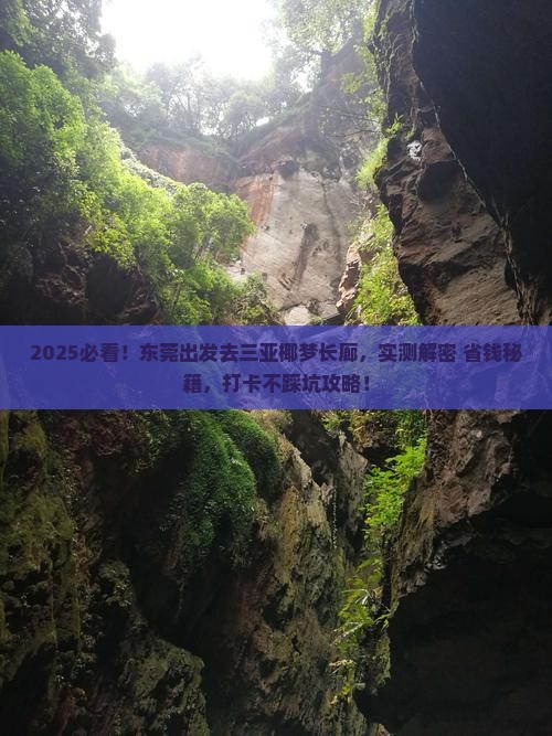 东莞去三亚椰梦长廊旅游打卡点