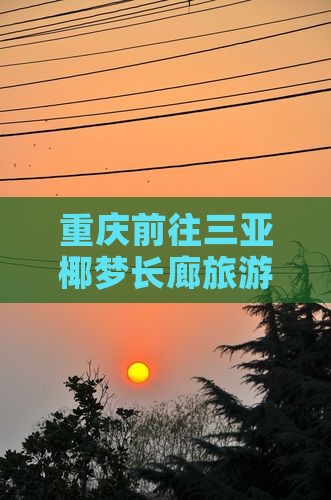 重庆前往三亚椰梦长廊攻略
