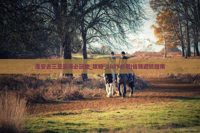 淮安去三亚后海必玩地