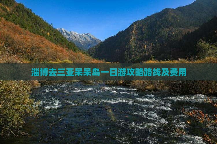 淄博去三亚呆呆岛一日游
