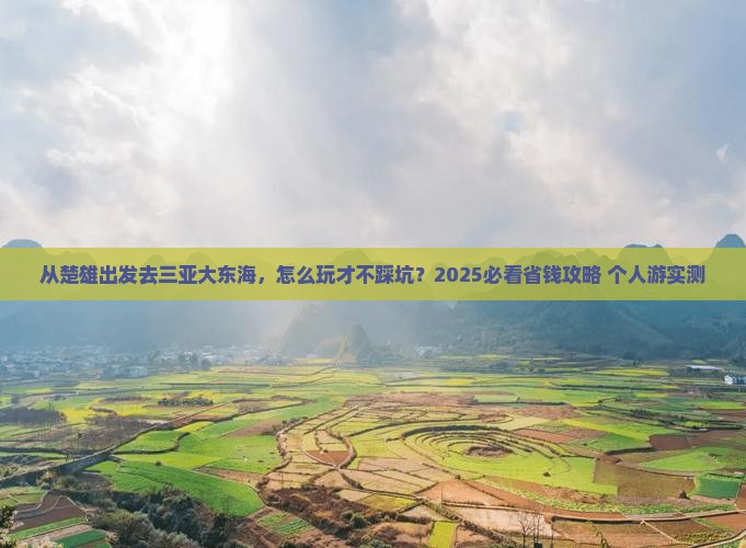 楚雄出发三亚大东海个人游