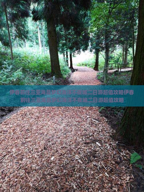 伊春前往三亚海昌梦幻海洋不夜城二日游