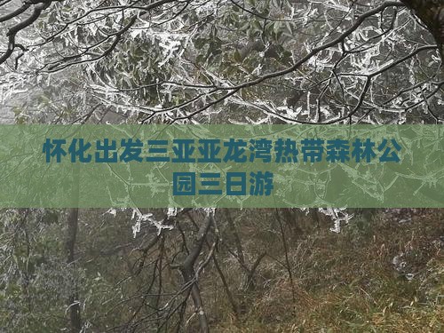 怀化出发三亚亚龙湾热带森林公园三日游